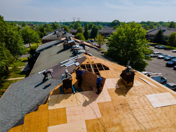 24/7 Emergency Roofing experts in Dolphin, VA